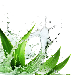 Aloe Vera Leaves